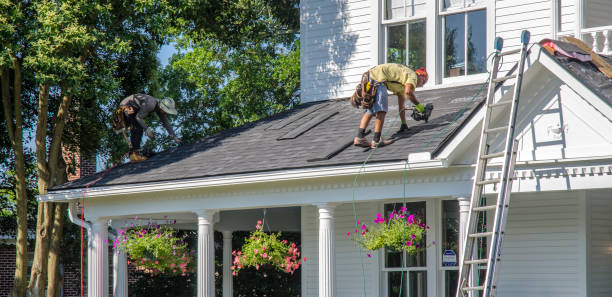 Best Roof Gutter Cleaning  in Lake Secession, SC