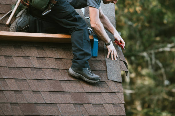 Roof Gutter Cleaning in Lake Secession, SC